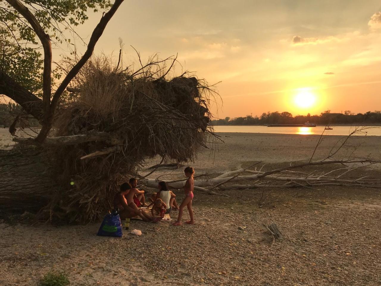 Radvaň nad Dunajom Tobo House Along The River Danube מראה חיצוני תמונה